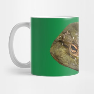 Eyes of a Cane Toad Mug